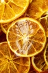 Orangenscheiben - Fructus Aurantii dulce