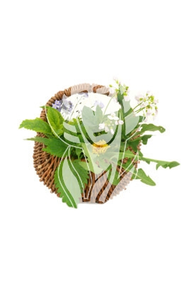 Bing Ling - Herba Isodon rubescens