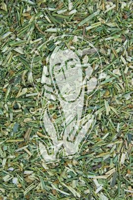Chiretakraut, grün - Herba Chiretae