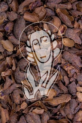 Kakaobohnenschalen - Cortex Cacao
