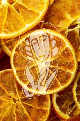 Orangenscheiben - Fructus Aurantii dulce